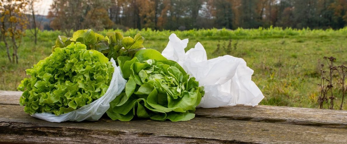 Salat in Plastiktüten?