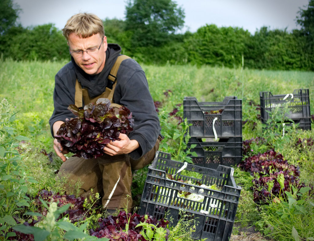 Gärtner Tobi mit regionalem bio Salat in der Hand. Aufgenommen im osnabrücker Land, Kalkriese