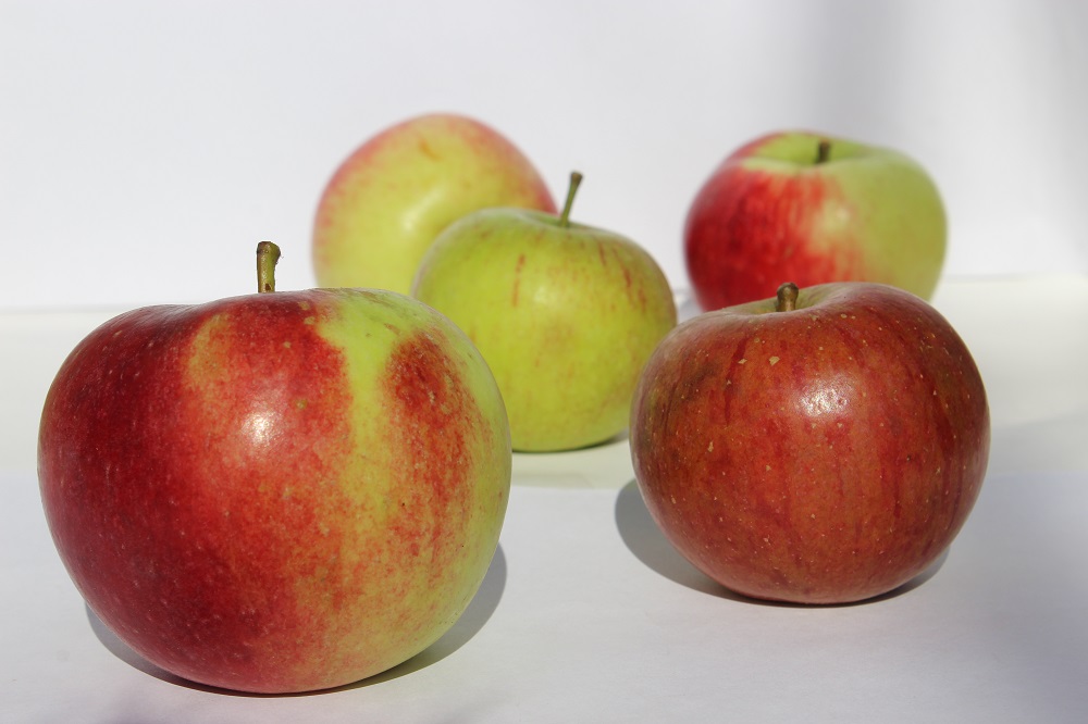 Viele Menschen leiden unter einer Allergie, die auch den Genuss von Äpfeln unangenehm macht.