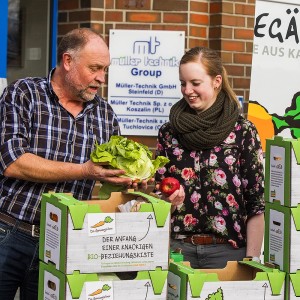 Bürokiste mit Obst und Gemüse Osnabrücker Land, Vechta, Lingen, Rheine, Versmold,