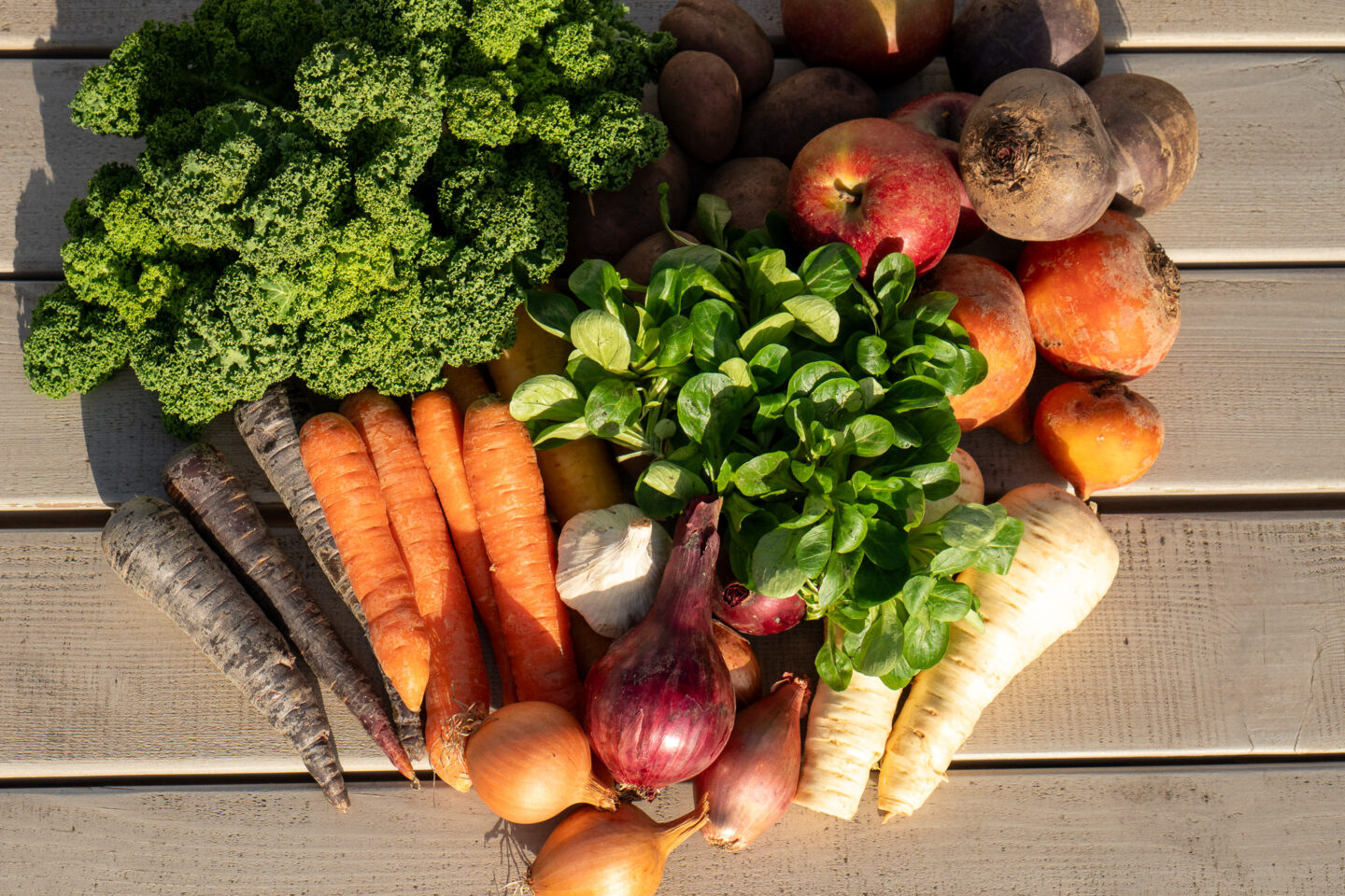 5 Fakten über deinen Einkauf bei uns - Die Gemüsegärtner