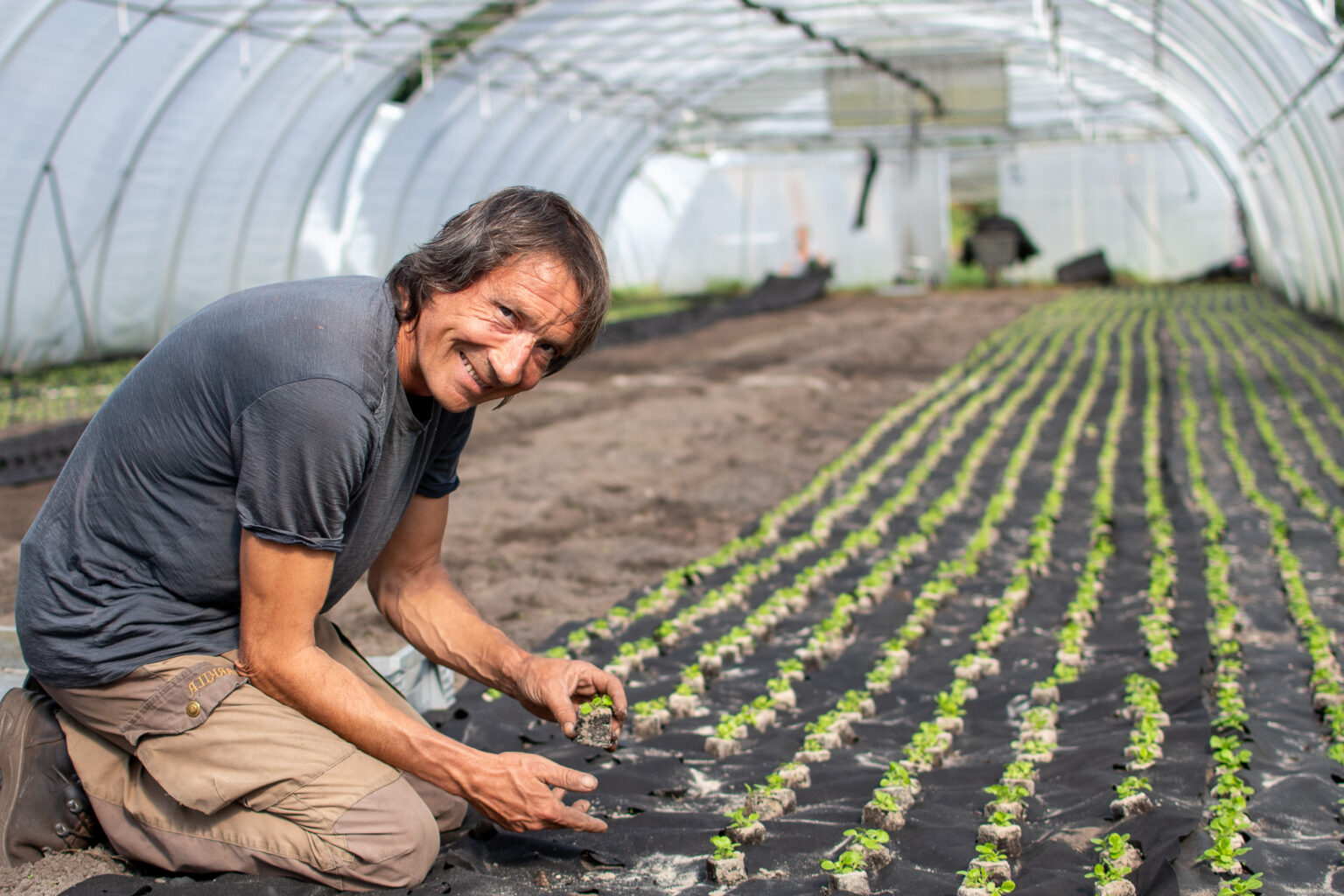Jobs Die Gemüsegärtner