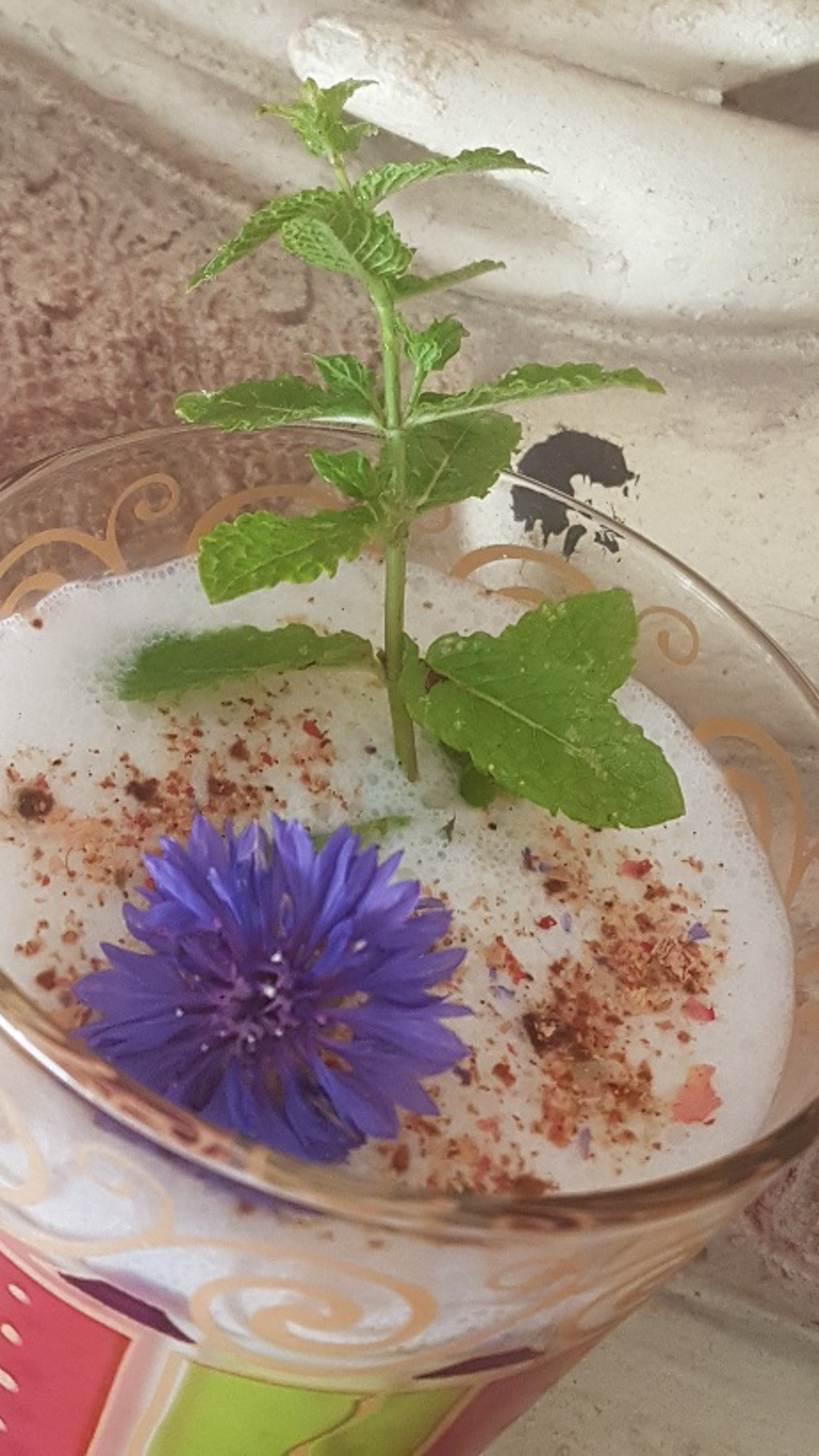 Vitalisierender Ayurveda Frühstücksbrunch - Die Gemüsegärtner