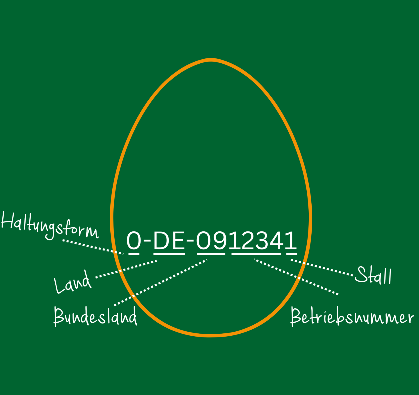 Bio-Eier - „Was steckt wirklich hinter der 0?“ - Die Gemüsegärtner