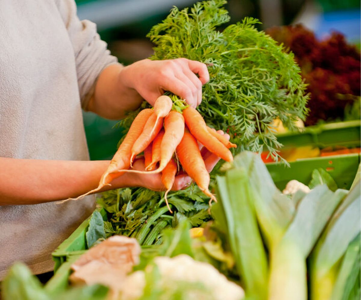 Team - Die Gemüsegärtner