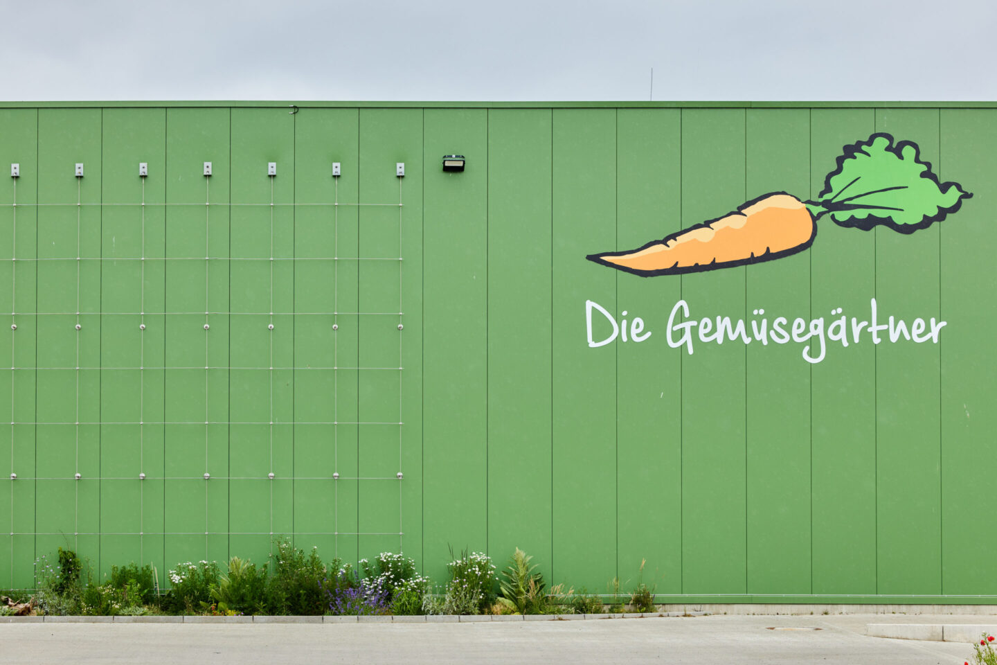 Grünes Firmengebäude mit Logo „Die Gemüsegärtner“ und Karottenmotiv an der Außenwand.