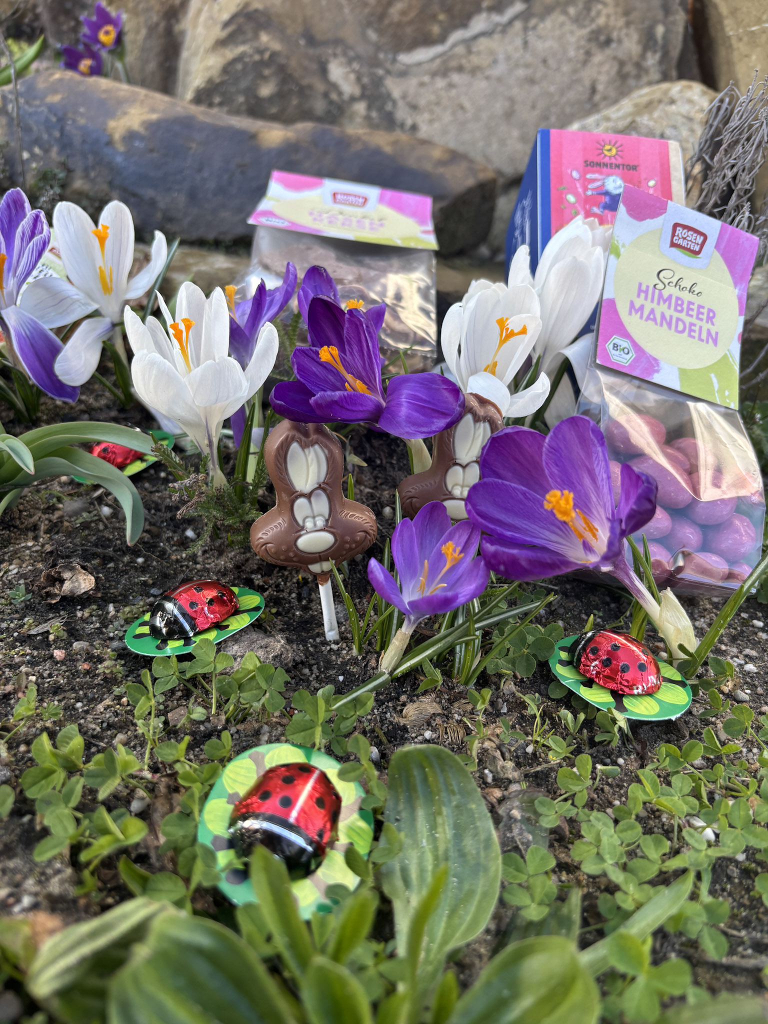 Blumen und Schokoosterhasen im Gras