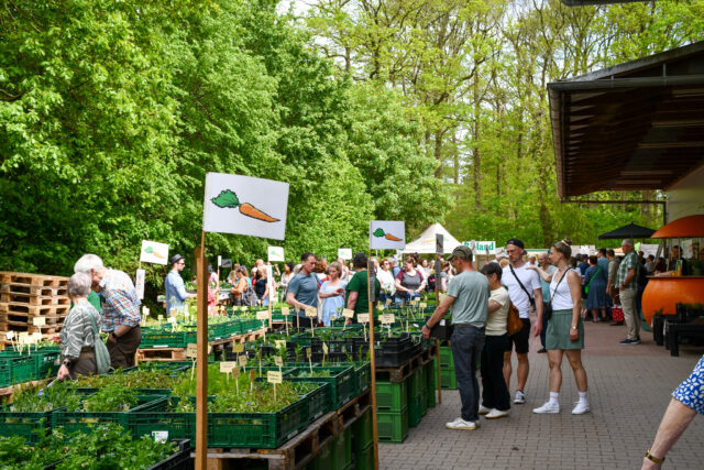 Menschen auf einem Markt mit Ständen, an denen Pflanzen in grünen Kisten verkauft werden, vor einem Hintergrund aus Bäumen