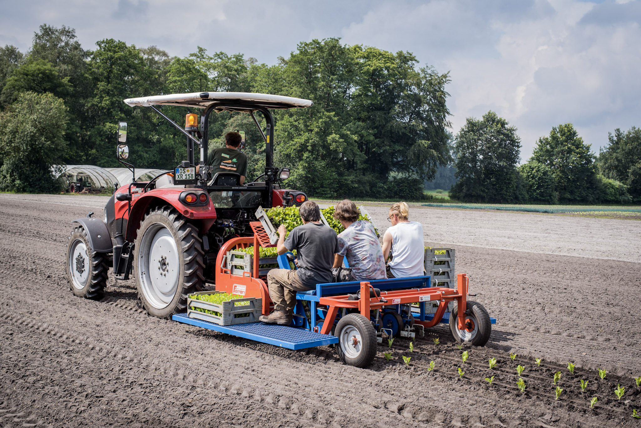 Drei Personen sitzen auf einem Anhänger hinter einem Traktor, der auf einem Feld junge Pflanzen setzt
