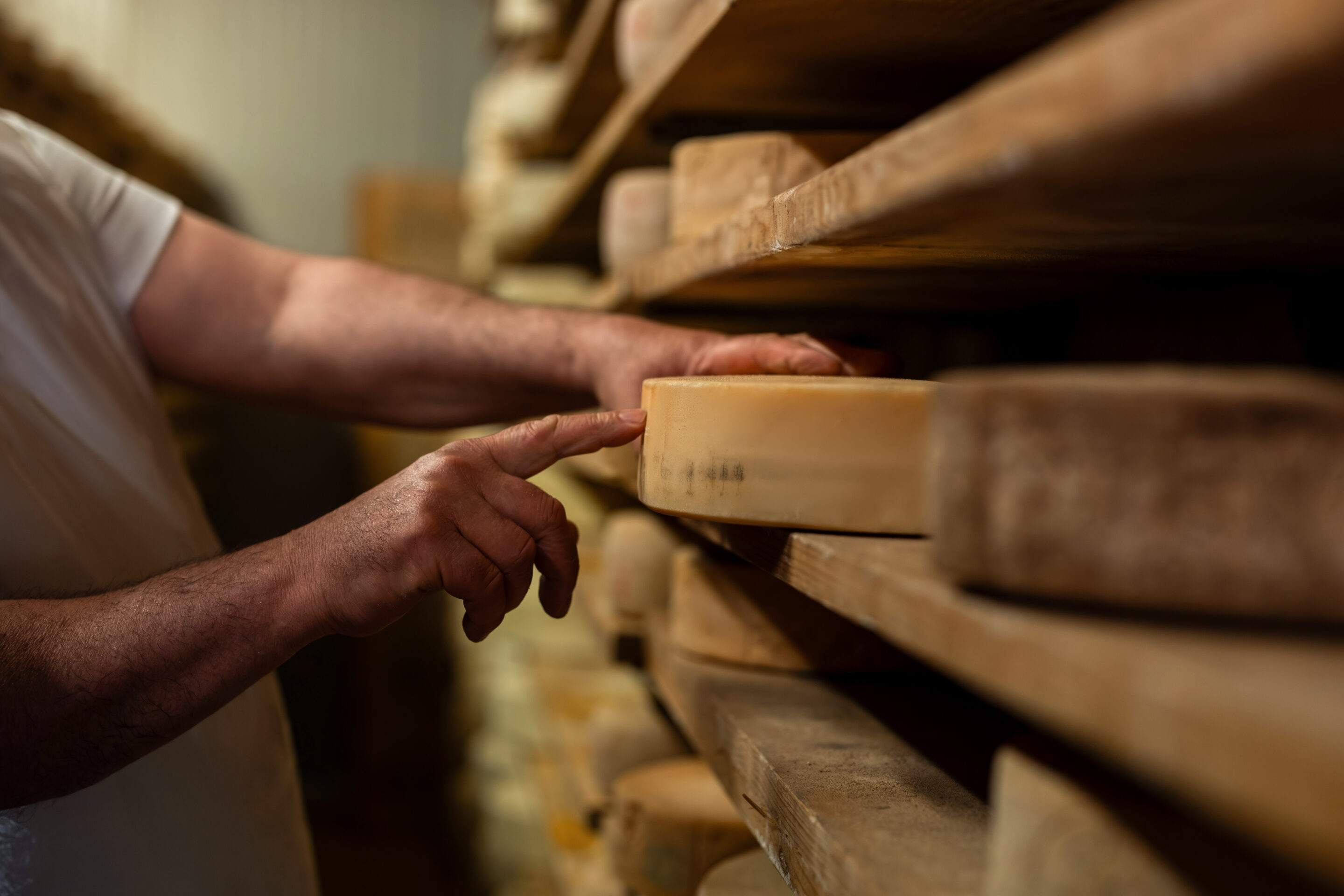 Käser kontrolliert einen reifenden Käselaib auf einem Holzregal im Käsekeller.
