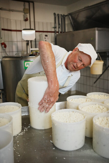 k43 So entsteht der Grummersorter Hofkäse 2 Der Käser wendet die mit Käsebruch gefüllten Formen